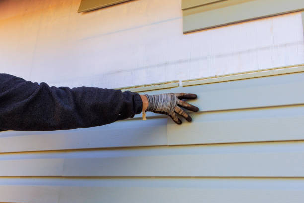 Best Aluminum Siding Installation  in Florence, MT